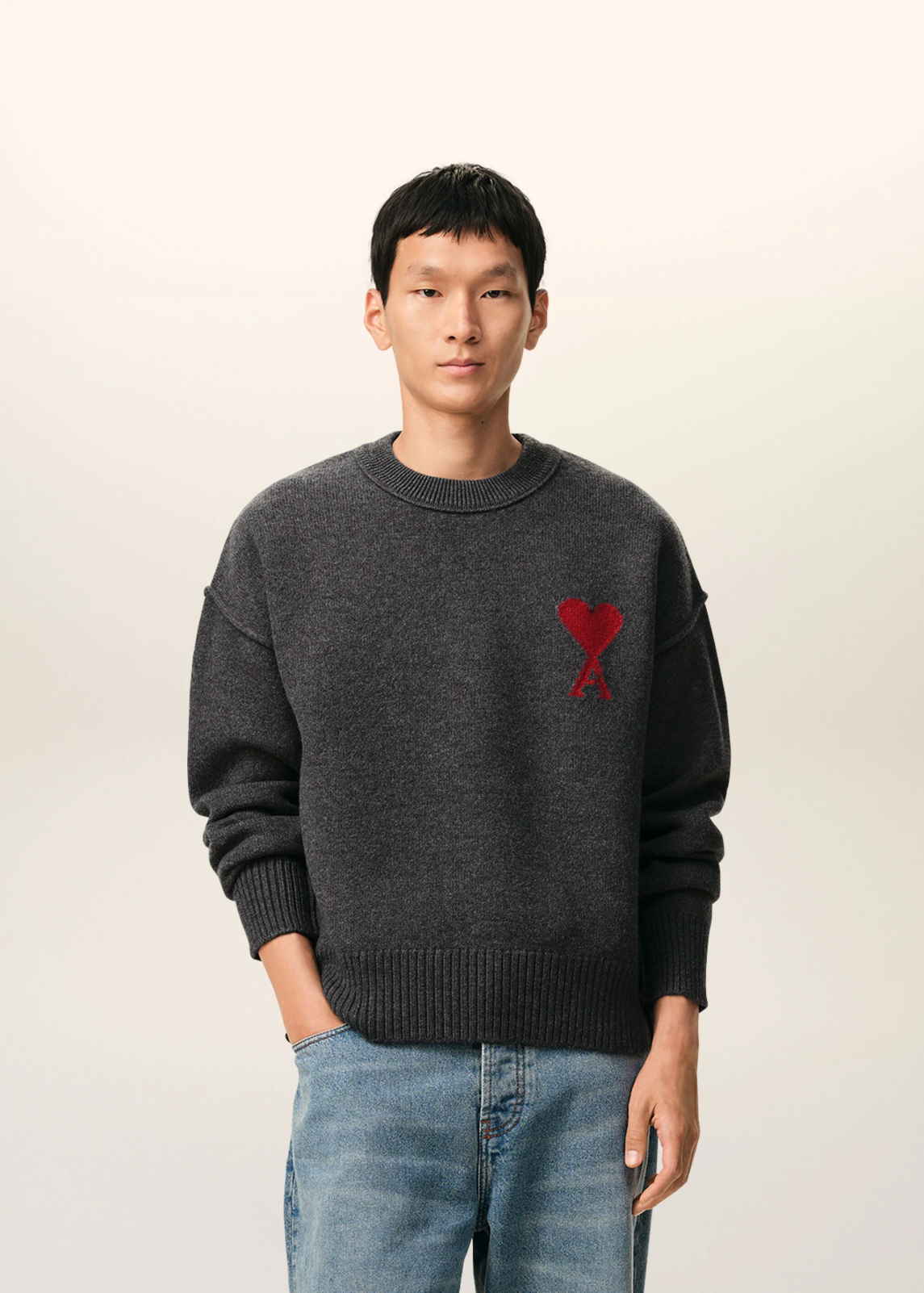 PULL GRIS COL ROND AMI