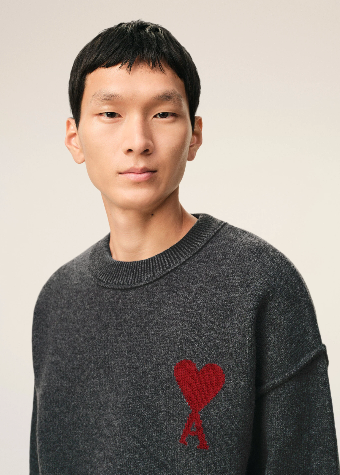 PULL GRIS COL ROND AMI