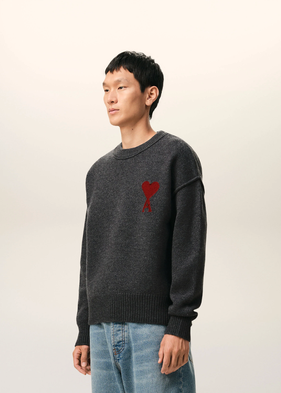 PULL GRIS COL ROND AMl