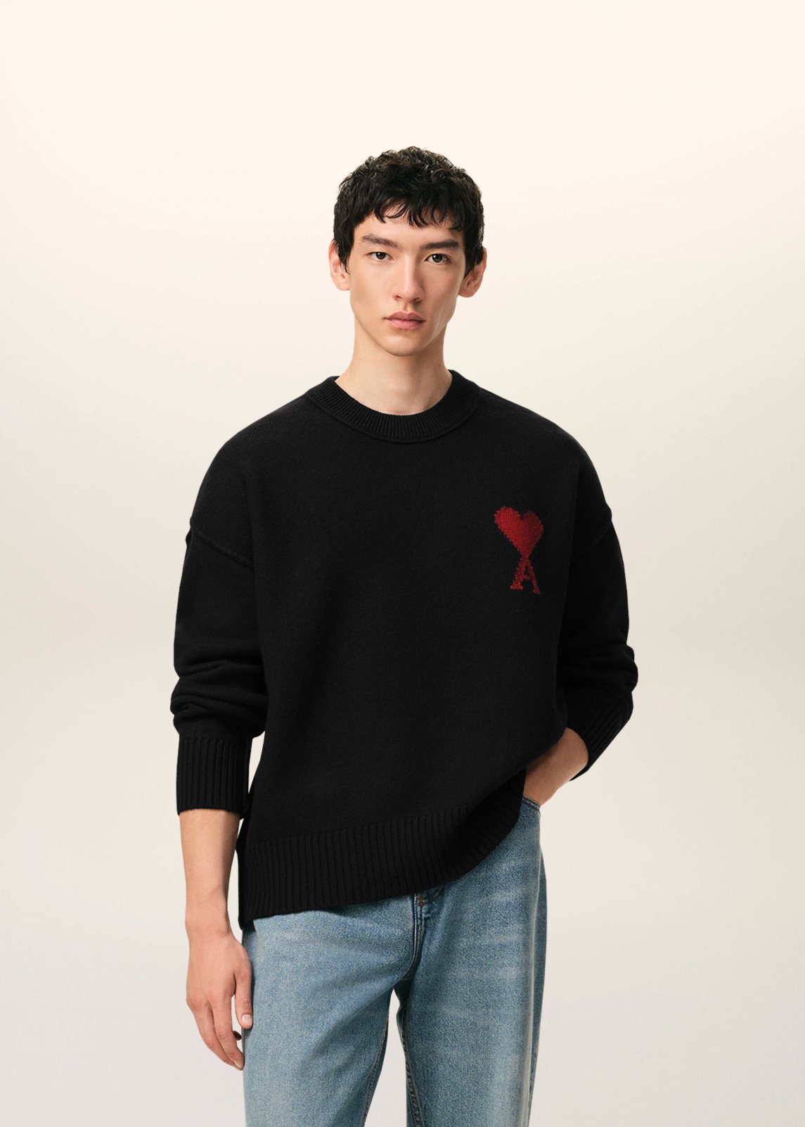 PULL NOIR COL ROND Ami