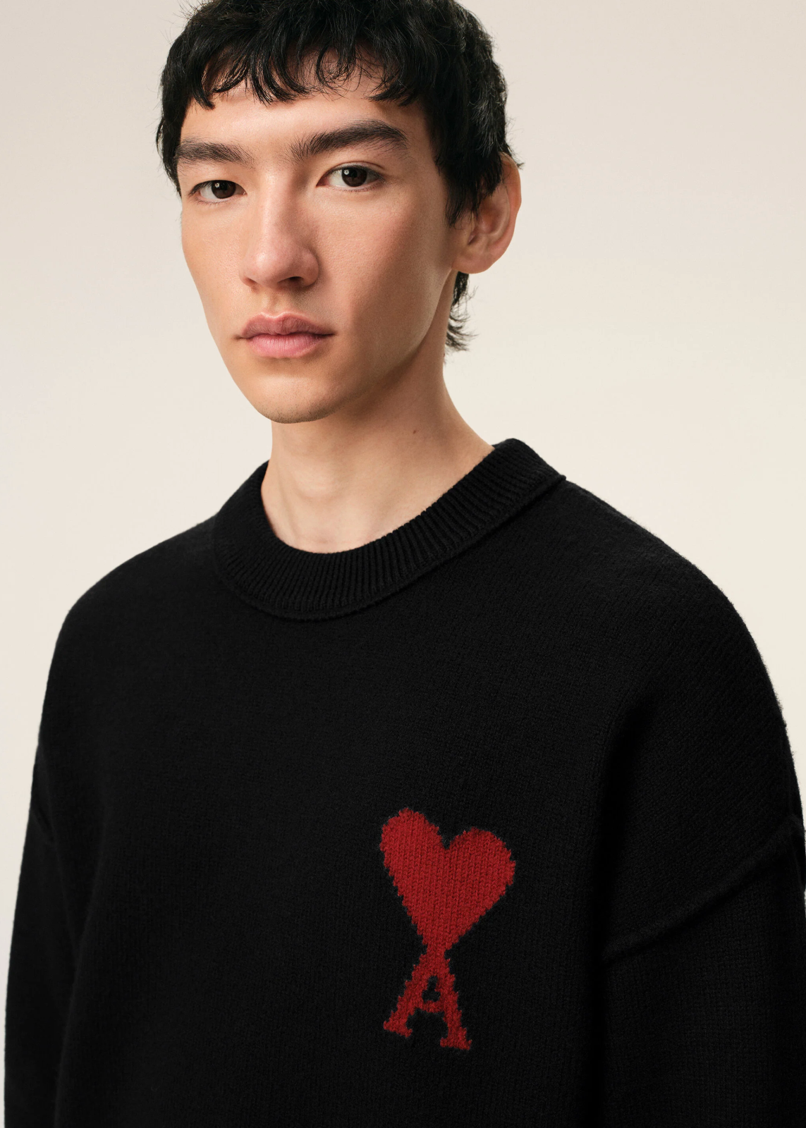 PULL NOIR COL ROND AMl